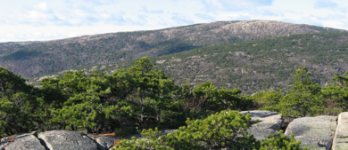 Cadillac Mountain_h