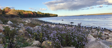 Moose Point State Park_h