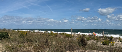 Rehoboth Beach_h