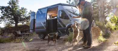 Dogs outside of campervan_h