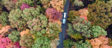 Fall_h