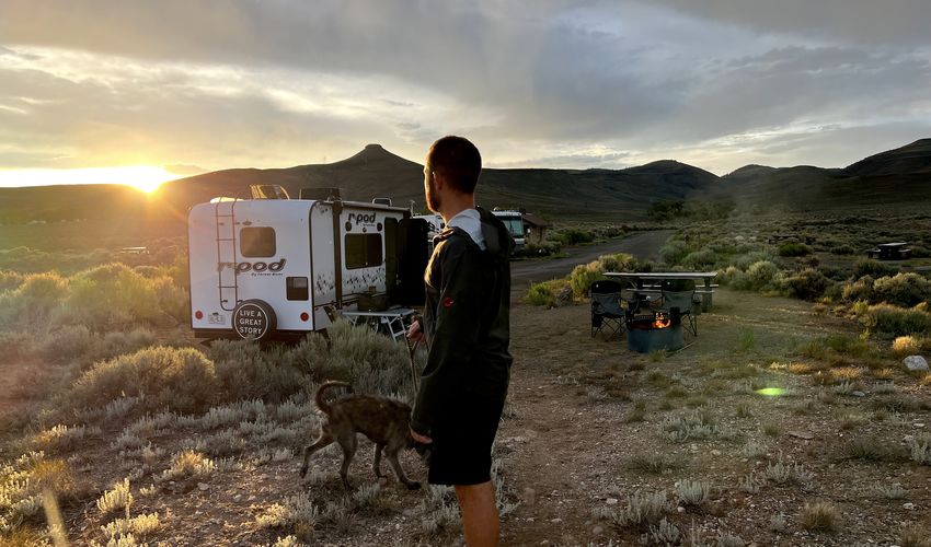 9 Must Know Safety and Travel Tips for RVing With Dogs | Go RVing