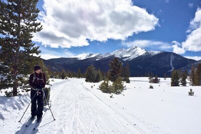 Winter Wonderland