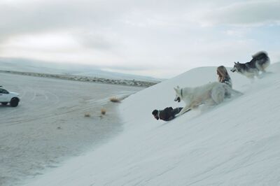 Loki Off-Leash