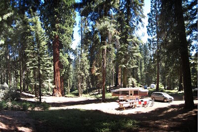 park