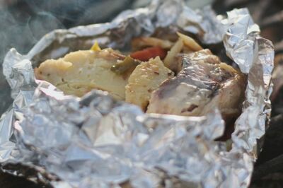 Campfire Chicken Stew