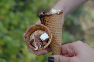 Campfire Cones