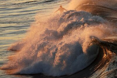 surfing