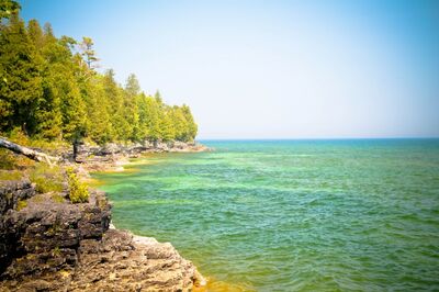 Family Next Door In Door County, Wisconsin