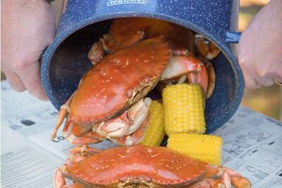 Dungeness Crab Boil by the Sea