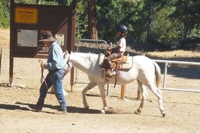 Camping 101 with Kids
