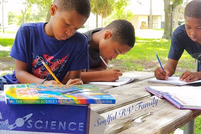 3 boys studying at picnic table
