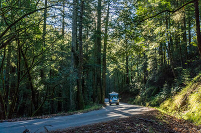 RV in Woods