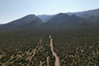 Mountain landscape