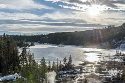 Winter Landscape
