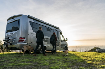 Class B With Couple and Dogs