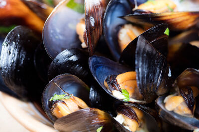 Mussels