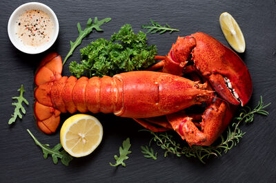 lobster