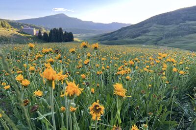 Crested Butte