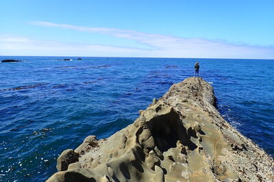 Oregon Coast