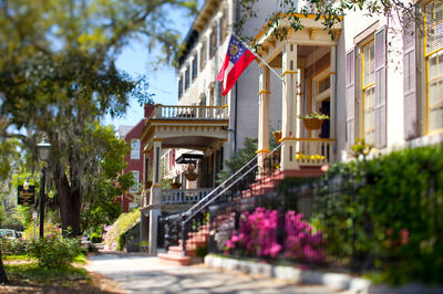 Jones Street in the Spring