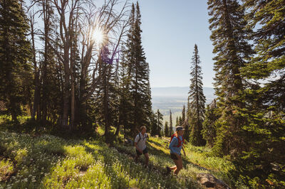 Jackson Hole
