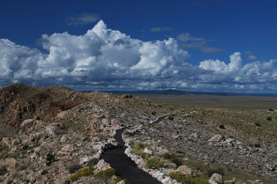 Northern Arizona