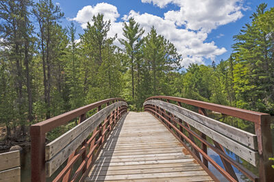 North Woods Wisconsin 