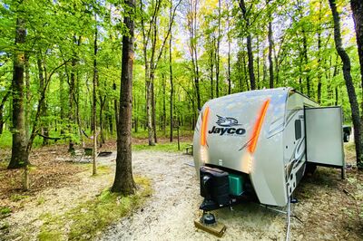 Jayco trailer in the woods