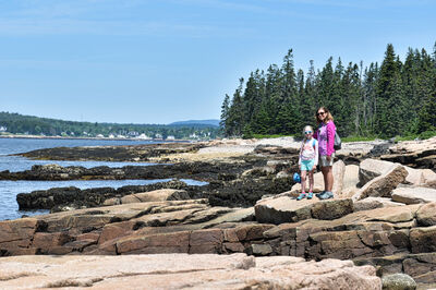 People standing at Acadia National Park