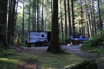 Campsite in Golden Ears