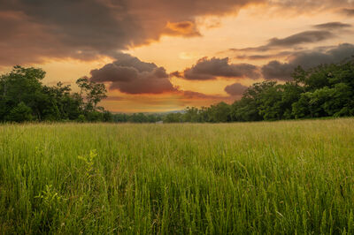 A field in Luray