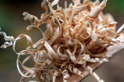 Wood shavings curling on stick.png