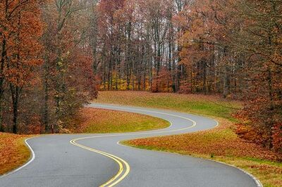 A road in fall.jpg