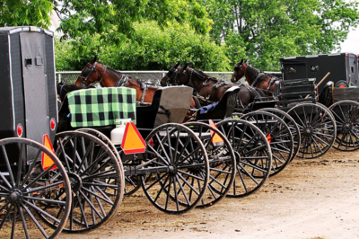 Amish Buggies.png