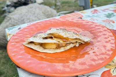 Campfire pies