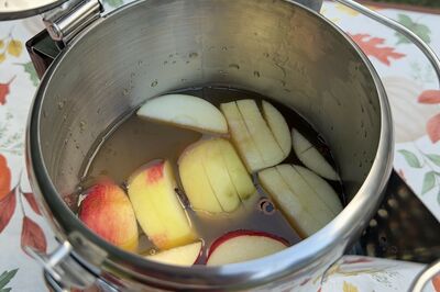 Campfire cider