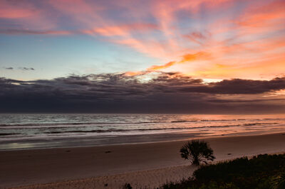 Purple Sunrise