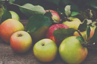 Apples