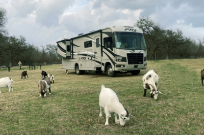 RV and goats