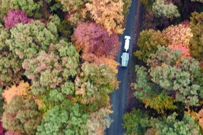 Fall_h