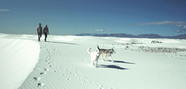 Loki Off-Leash
