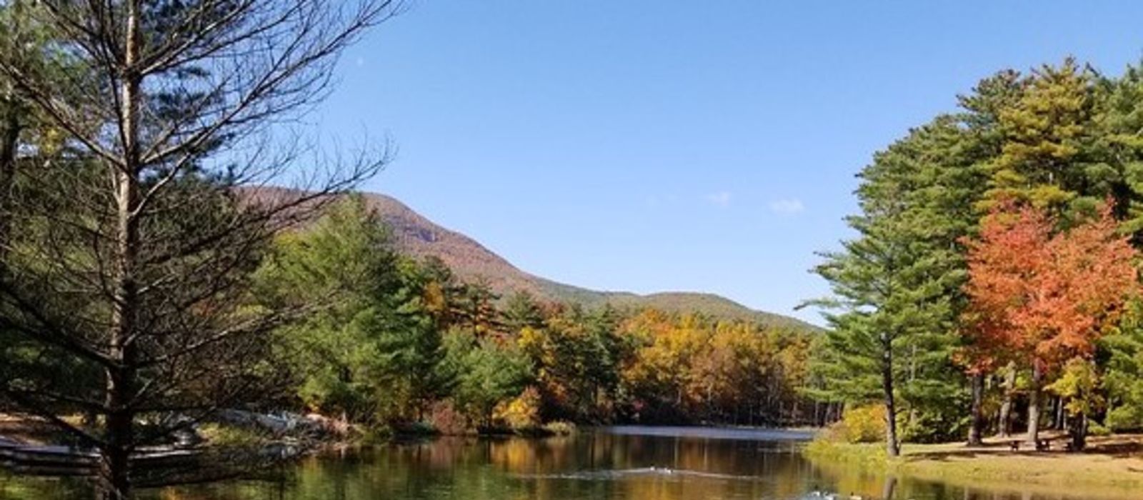 NY