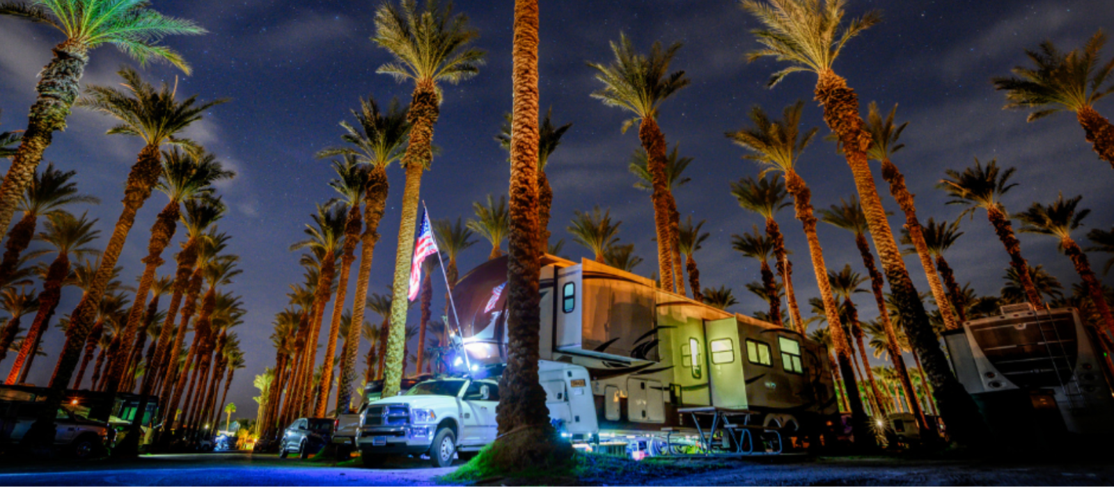 Towable RV & Palm Trees_h 