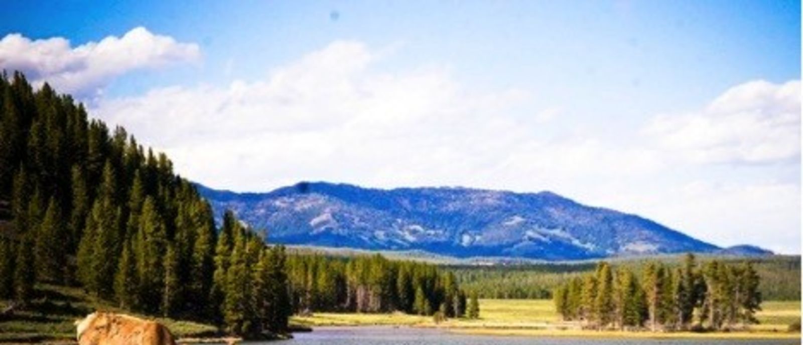 5 National Parks Your Kids Will Love