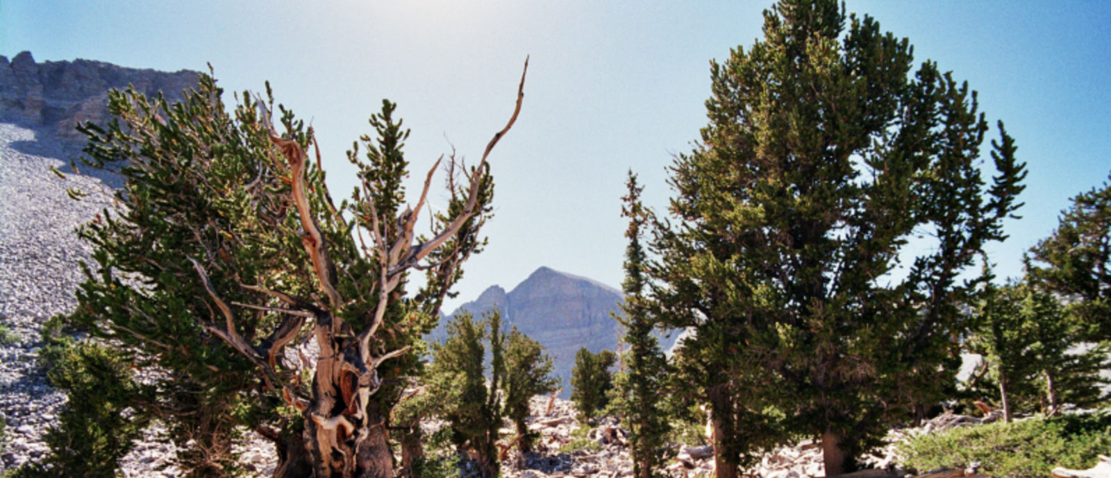 8 Underrated National Parks That Will Leave You Speechless