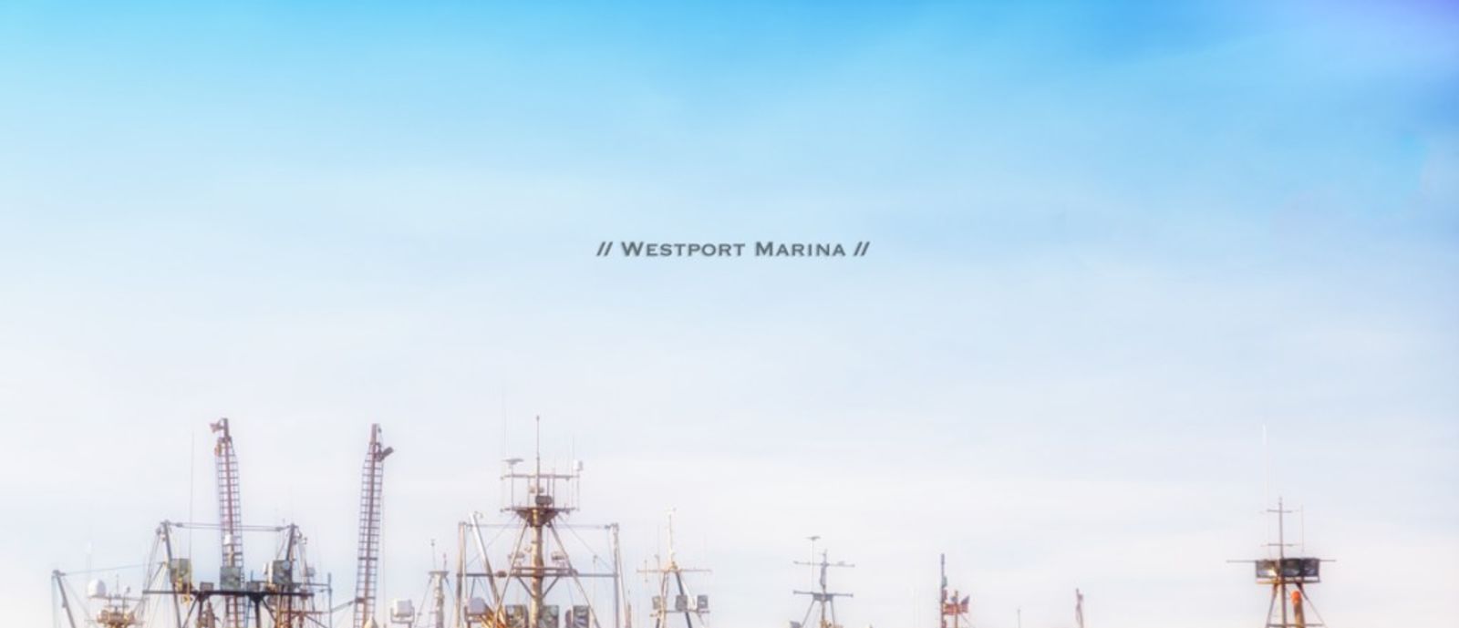 A Taste Of Washington's Coast