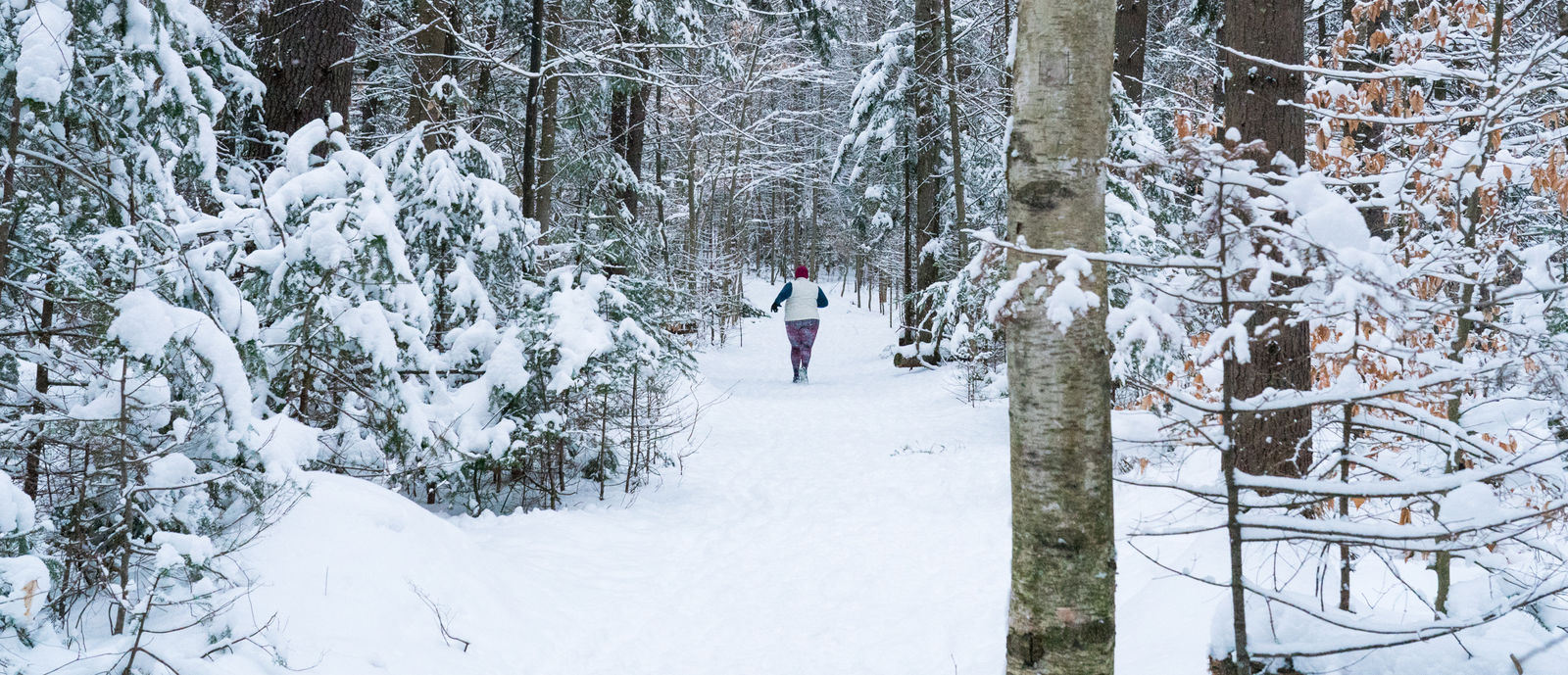 Snowy adventures - cross-country skiing and trail running