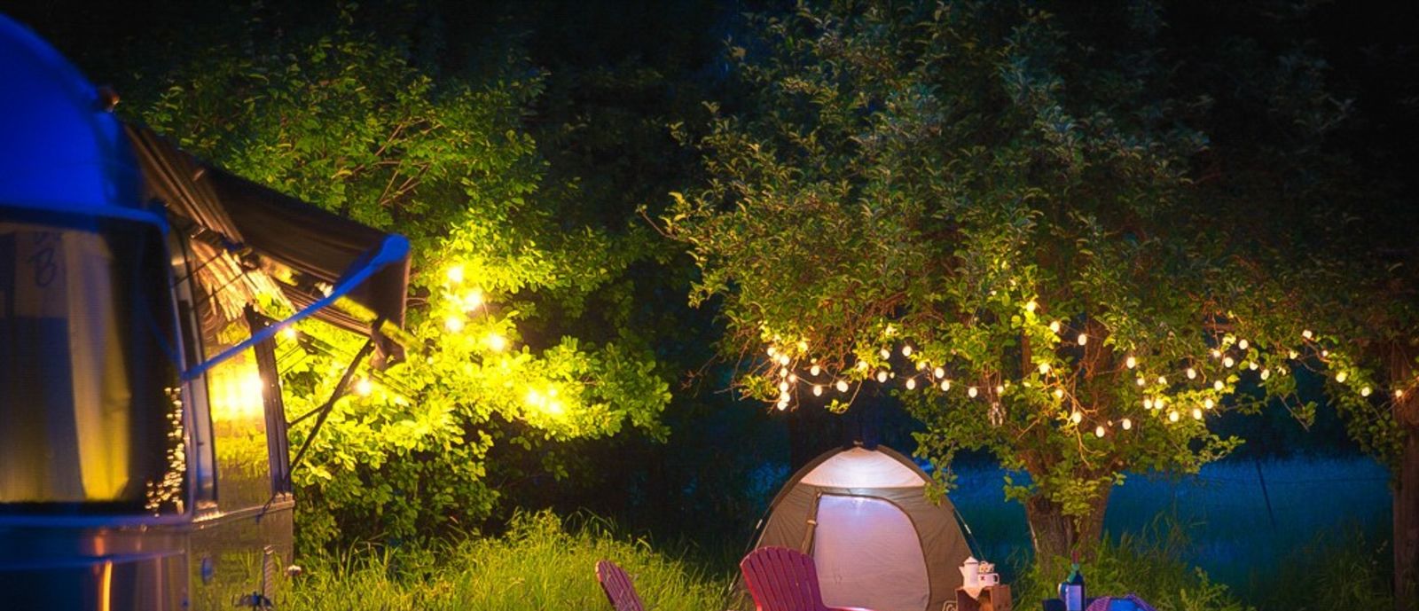 tent under a tree