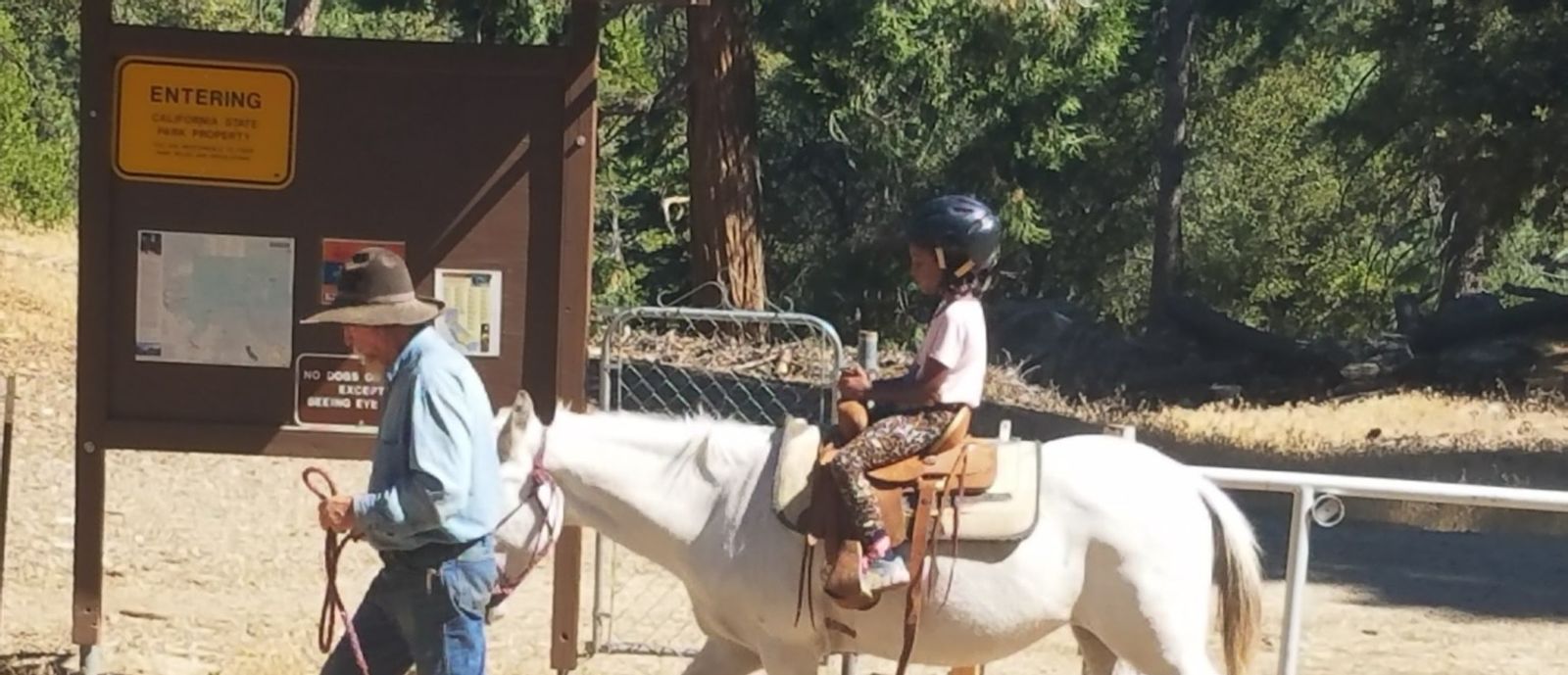 Camping 101 with Kids